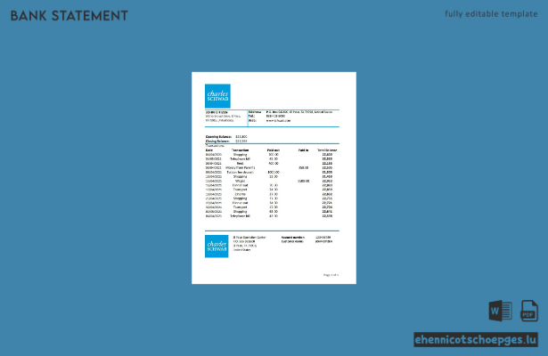 USA Charles Schwab and Co. Kontoauszug Excel-Beispiel (Vorschau)